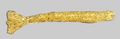 3'' Shrimp Bait - Goldie