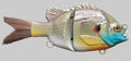 Lucid Rogue Gill 5": Bluegigi
