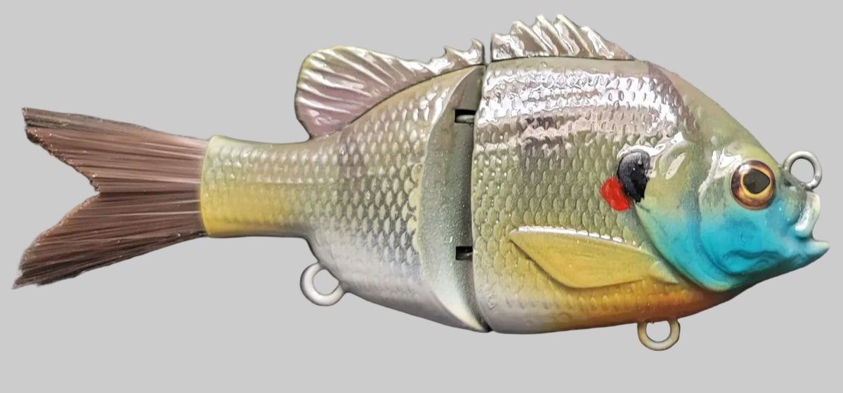 Lucid Rogue Gill 5": Bluegigi